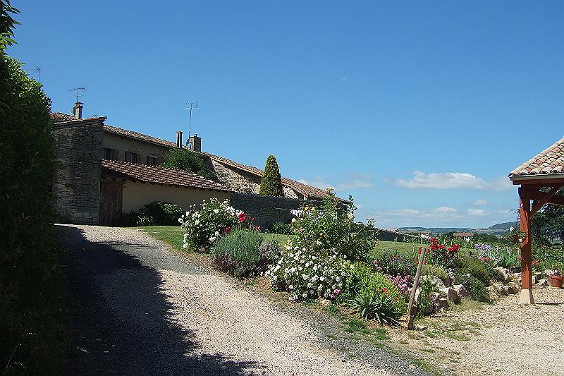 2010-06- (50).JPG